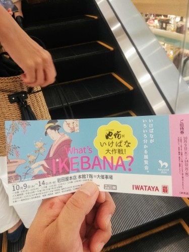 初めてのチェーンソー_d0195183_01105957.jpg