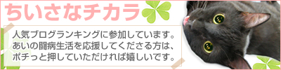 「猫エイズと白血病…奇跡の猫あい」ごあいさつ_a0389088_17095976.jpg