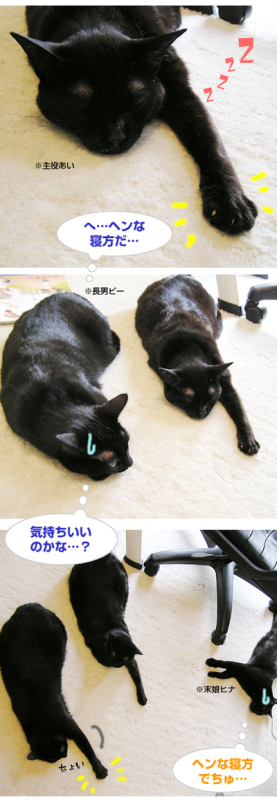気持ちいいい寝方…？_a0389088_17103821.jpg