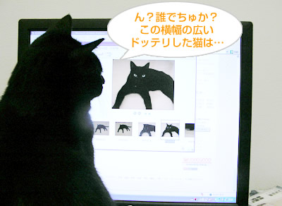 謎の写真?…でちゅ！_a0389088_17115207.jpg
