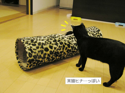 謎の写真…でちゅ！_a0389088_17115216.jpg