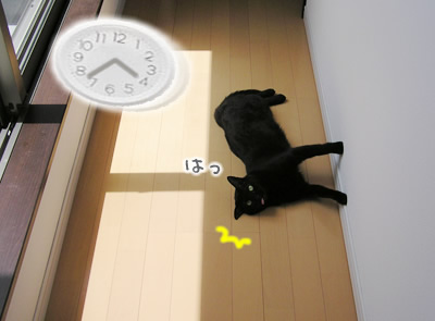 アイドルあいの一日は？なのヨ～_a0389088_17115225.jpg
