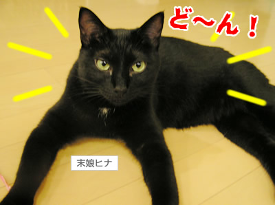 謎の写真?…でちゅ！_a0389088_17115237.jpg