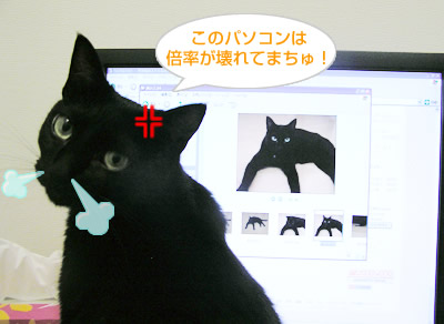 謎の写真?…でちゅ！_a0389088_17115284.jpg