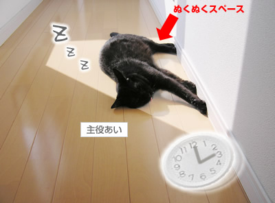 アイドルあいの一日は？なのヨ～_a0389088_17115299.jpg