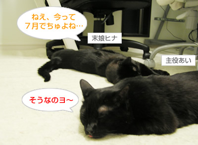 ぬくぬく日和…なのヨ~?_a0389088_17115306.jpg