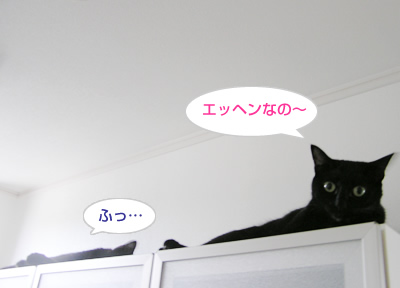 日々進化するあちしなの～_a0389088_17115314.jpg