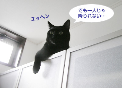 日々進化するあちしなの～_a0389088_17115322.jpg