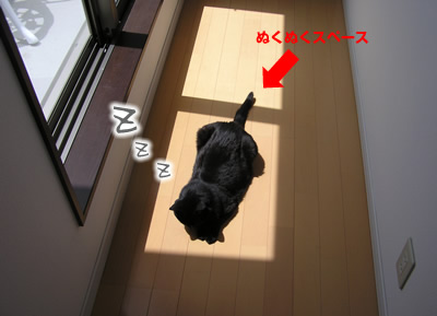 アイドルあいの一日は？なのヨ～_a0389088_17115337.jpg