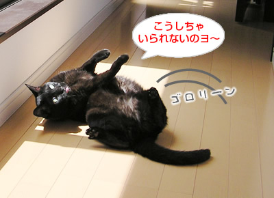 アイドルあいの一日は？なのヨ～_a0389088_17115353.jpg
