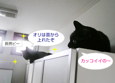 日々進化するあちしなの～_a0389088_17115356.jpg