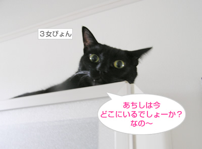 日々進化するあちしなの～_a0389088_17115371.jpg