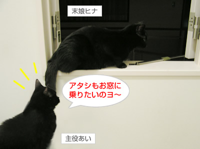 順番待ちは礼儀なのヨ～_a0389088_17115443.jpg