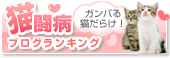 ぬくぬく日和…なのヨ～？_a0389088_17115468.jpg