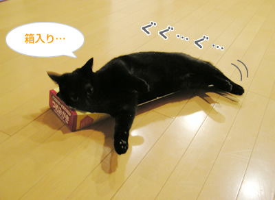 箱入り娘の憂うつでちゅ_a0389088_17115553.jpg