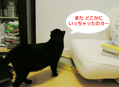 魔のブラックホールなのヨ~!_a0389088_17115758.jpg