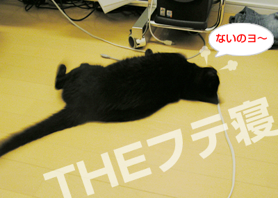 魔のブラックホールなのヨ~!_a0389088_17115784.jpg