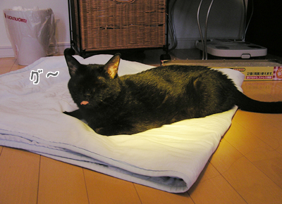 お日様のチカラで免疫アップなのヨ~?_a0389088_17115915.jpg