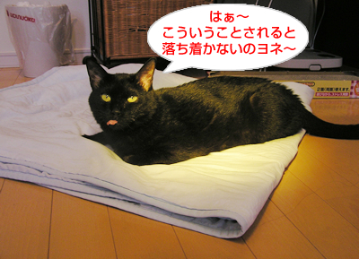 お日様のチカラで免疫アップなのヨ~?_a0389088_17115920.jpg