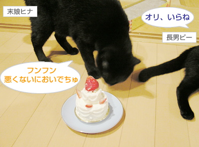 お酒>お刺身>スイーツ なのヨ~_a0389088_17115940.jpg