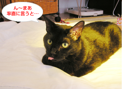お日様のチカラで免疫アップなのヨ~?_a0389088_17115958.jpg