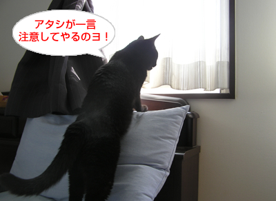 永遠…それは儚い夢なのヨ~_a0389088_17120003.jpg
