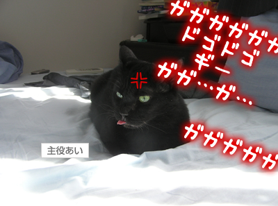 永遠…それは儚い夢なのヨ~_a0389088_17120058.jpg