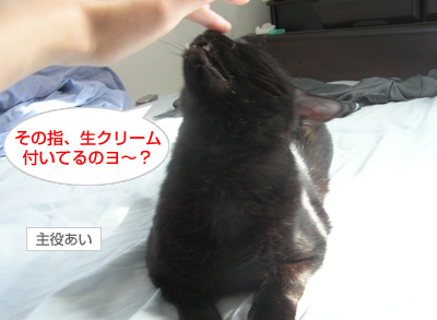 人間 の 手_a0389088_17120202.jpg