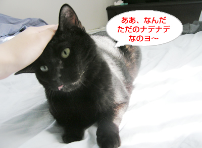 人間 の 手_a0389088_17120206.jpg