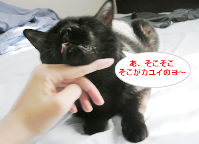 人間 の 手_a0389088_17120222.jpg