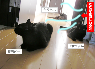 不自然 な 自然_a0389088_17120223.jpg