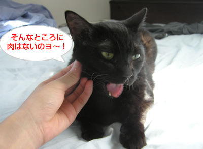 人間 の 手_a0389088_17120277.jpg