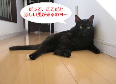 不自然 な 自然_a0389088_17120290.jpg