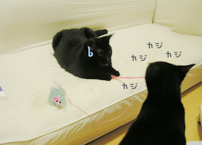 癒しの時間_a0389088_17120315.jpg
