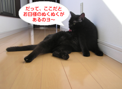 不自然 な 自然_a0389088_17120344.jpg