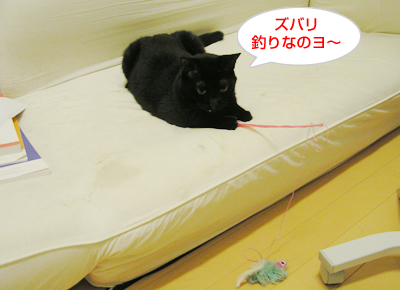癒しの時間_a0389088_17120349.jpg