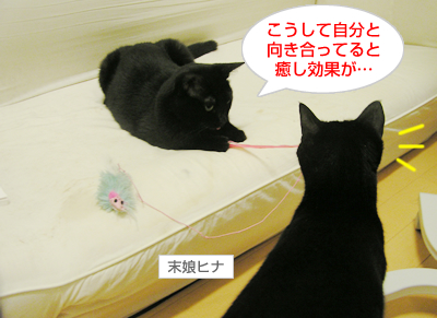 癒しの時間_a0389088_17120350.jpg