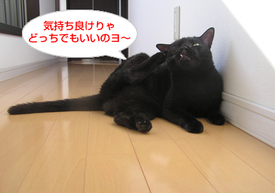 不自然 な 自然_a0389088_17120393.jpg