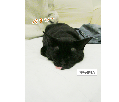 縁~えにし~_a0389088_17120409.jpg