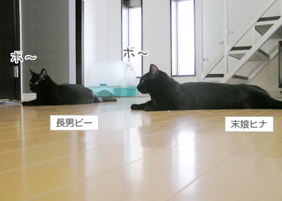 縁~えにし~_a0389088_17120431.jpg