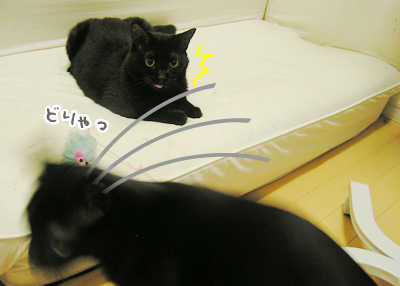 癒しの時間_a0389088_17120475.jpg