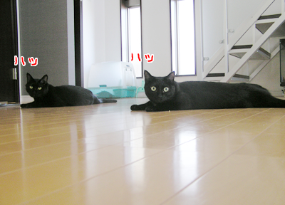 縁~えにし~_a0389088_17120487.jpg