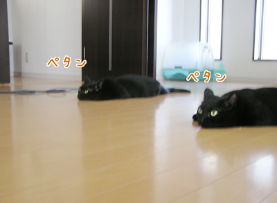 縁~えにし~_a0389088_17120491.jpg
