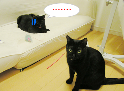 癒しの時間_a0389088_17120493.jpg