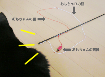 ごはん と おもちゃと…そして愛情_a0389088_17120508.jpg