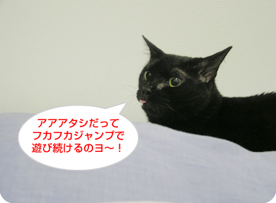 真夜中の散歩_a0389088_17120533.jpg