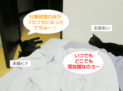 真夜中の散歩_a0389088_17120569.jpg