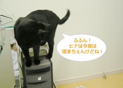 真夜中の散歩_a0389088_17120574.jpg