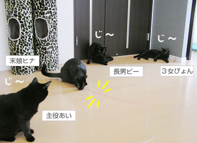 ごはん と おもちゃと…そして愛情_a0389088_17120636.jpg