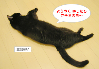 照れ屋一家_a0389088_17121504.jpg